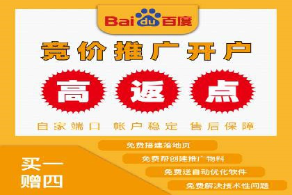 竞价排名案例分析：电商行业